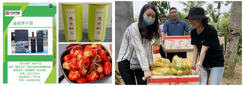 ����ؿġJ�ݴ�D�s�ʭ��E�X�O ���O�߳h�j�T�W�� ���O����ѨM�A���~���P�������D