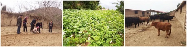 �i�ؿħ߳h�j�̵¤����q�J ���t�ðϾ�ϩR ������߫P��h