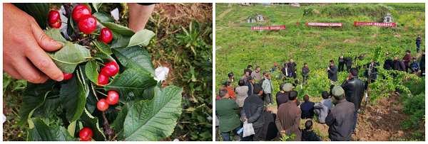 ����ؿĥ��n������+�ҫ�+���O�����߲զX���ۤO���i�m�������ܽd�I�س]