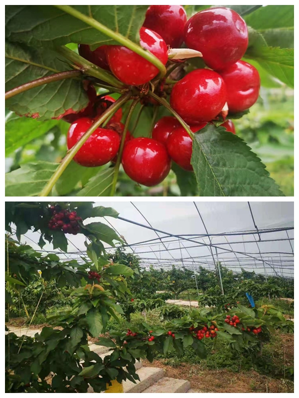 �p�p�����l �a�ʤj�����X�X����ؿľn�����ߵۤO�m�������ܽd�I�س]