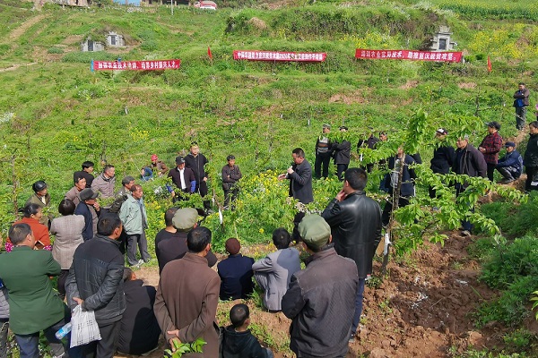 �p�p�����l �a�ʤj�����X�X����ؿľn�����ߵۤO�m�������ܽd�I�س]