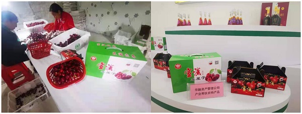 �p�p�����l �a�ʤj�����X�X����ؿľn�����ߵۤO�m�������ܽd�I�س]