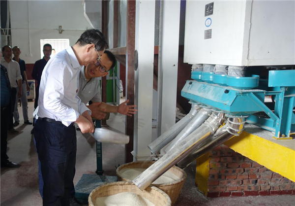 ����ؿ�2019�~�W�b�~�߳h�u�@���o�n������