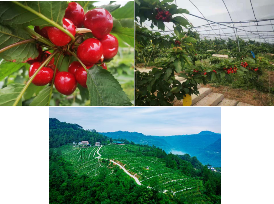 ����ؿĩw�I���߶W�G�Q�� �зs���n���զX���� ���X�������߯S�⤧��